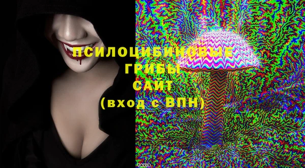 стаф Алзамай