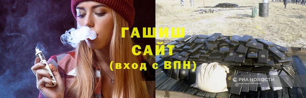 стаф Алзамай