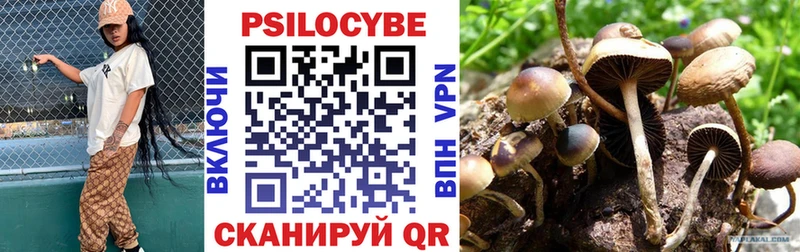 Псилоцибиновые грибы GOLDEN TEACHER  Волхов 